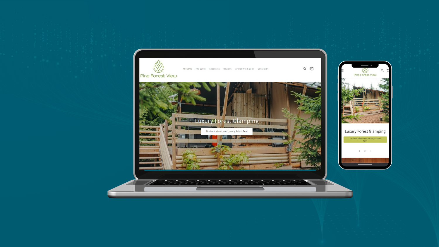 ecommerce web site design good value in Abergavenny South Wales